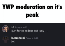 ywp moderation on it 's peak jj today at 16:25 tr3zz04real today at 16:25 lol