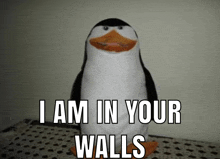 a stuffed penguin with the words i am in your walls below it