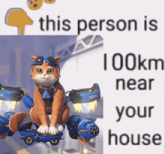 a picture of a cat flying with the words " this person is 100km near your house " below it