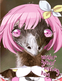 a picture of an ostrich with pink hair and the words wonder mother fucking hoy on the bottom