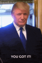 donald trump is wearing a suit and tie and says you got it
