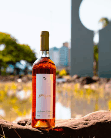 a bottle of jocquim wine sits on a rock in front of a body of water