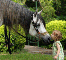 a little girl is kissing a horse 's nose