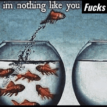 a picture of a fish jumping out of a bowl with the words im nothing like you fucks below it