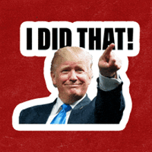 a picture of donald trump with the words i did that