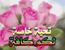 a bunch of pink roses with arabic writing