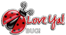 a ladybug with the words love you bug behind it