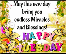 a happy tuesday greeting card with colorful flowers