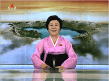 a woman in a pink kimono stands in front of a microphone with a picture of mountains in the background