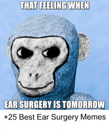 a blue monkey says that feeling when ear surgery is tomorrow and 25 best ear surgery memes