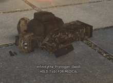 a video game character named infinity the protogen dead