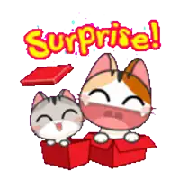 two cartoon cats are sitting in a red box and the word surprise is written above them