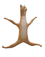 a cat is jumping in the air with its legs outstretched