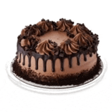 a chocolate cake with chocolate frosting is sitting on a plate .