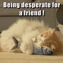 a cat is playing with a fish toy while laying on the floor .