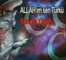 a wolf is praying in front of a crescent moon with the words allah 'im sen turku written on it .