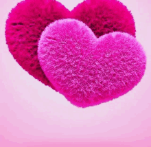 two pink fluffy hearts are sitting on top of each other on a pink background .