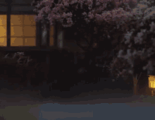 a tree with pink flowers is in front of a building at night