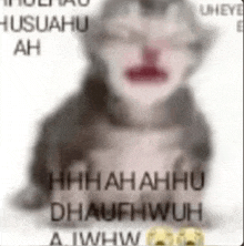 a blurry picture of a cat with a bloody nose and the words huhuahhu dhaufhwuh a jwhw .