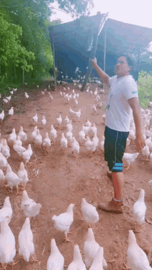 a man standing in front of a flock of chickens wearing a white shirt that says ' sydney ' on it