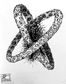 a black and white drawing of an octopus with the date september 11