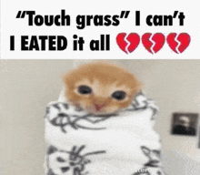 a cat wrapped in a blanket with the words `` touch grass '' i can 't i ate it all '' on it .