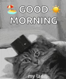 a cat wearing a top hat with the words `` good morning my lady '' written above it .