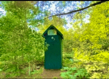 a green outhouse is surrounded by trees and ferns