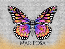 a colorful butterfly with the word mariposa on the bottom