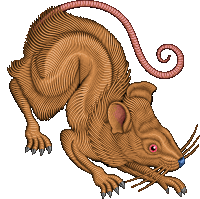 a drawing of a rat with red eyes and a long tail