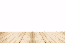 a wooden floor with a white background in the background