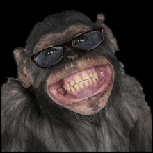 a chimpanzee wearing sunglasses is smiling with his mouth open