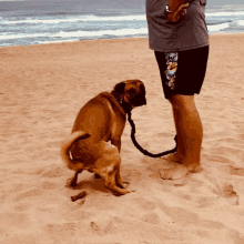 a man standing on a beach with a dog on a leash looking at him