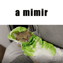 a picture of a cat wrapped in a cabbage leaf