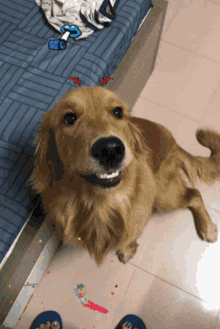 a dog laying on a tiled floor next to a bed with a sticker that says ' i love you ' on it