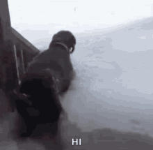 a person is walking down a snowy staircase with the words hi written on the bottom .