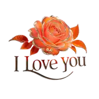 a picture of an orange rose with the words i love you