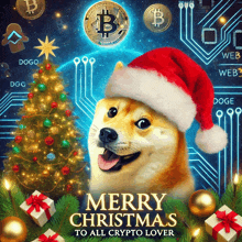 a dog wearing a santa hat with the words merry christmas to all crypto lover