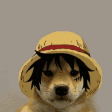 a dog wearing a straw hat with a red stripe