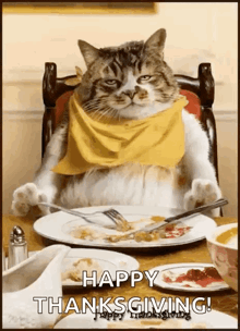 a cat wearing a yellow scarf is sitting at a table with a plate of food and a fork ..