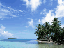 a tropical beach with palm trees and a boat in the water