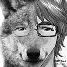 a black and white photo of a wolf with glasses and a man with long hair .