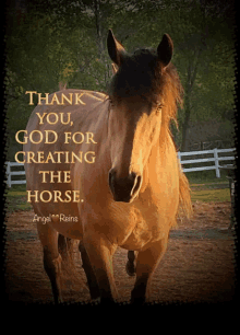 a picture of a horse with the words thank you god for creating the horse