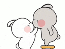 a couple of rabbits are kissing each other while standing on a stool .