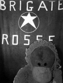 a black and white photo of a stuffed animal in front of a sign that says " brigate rose "