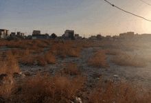 a desert landscape with a few buildings in the distance