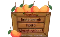 a sign that says mango loco recruitamenti aperti mangi solo te