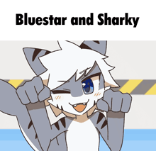 a cartoon drawing of a shark with the words bluestar and sharky below it