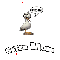 a seagull with a speech bubble saying moin