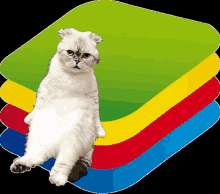 a white cat sitting on top of a stack of colorful blocks